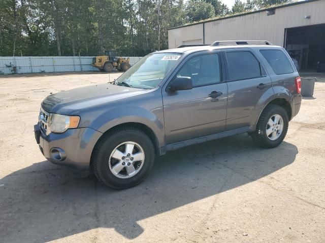 2011 Ford Escape XLT