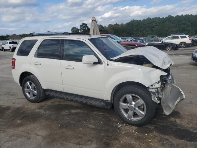 2009 Ford Escape Limited