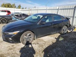 Hyundai Elantra lu salvage cars for sale: 2024 Hyundai Elantra Luxury