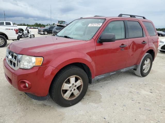 2011 Ford Escape XLT