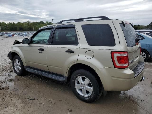 2010 Ford Escape XLT