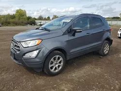 2020 Ford Ecosport SE en venta en Columbia Station, OH