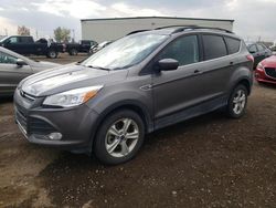 Ford salvage cars for sale: 2014 Ford Escape SE