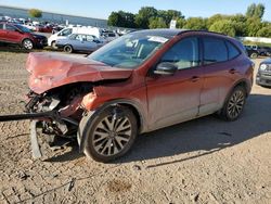 Salvage cars for sale from Copart Davison, MI: 2020 Ford Escape SE Sport