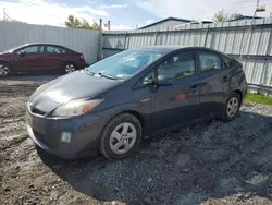 Toyota salvage cars for sale: 2010 Toyota Prius