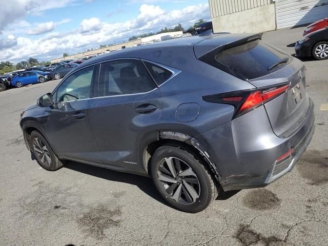 2019 Lexus NX 300H