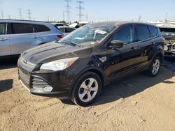 Salvage cars for sale at Elgin, IL auction: 2013 Ford Escape SE