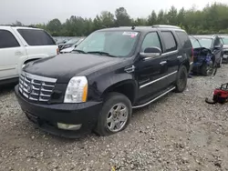 Salvage cars for sale at Memphis, TN auction: 2008 Cadillac Escalade Luxury