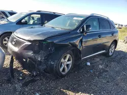 Salvage cars for sale at Magna, UT auction: 2010 Lexus RX 350