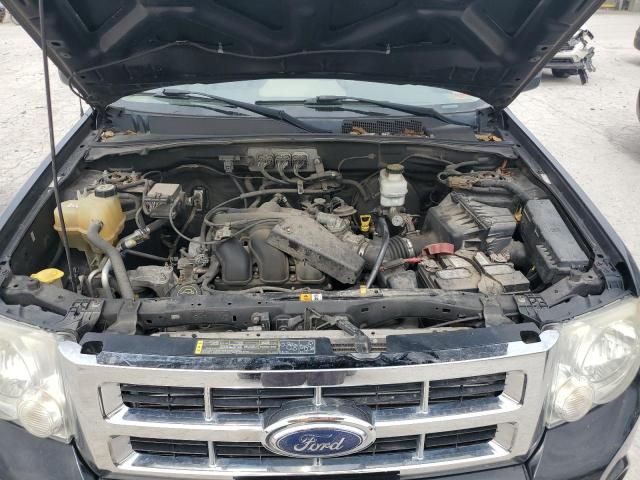 2008 Ford Escape XLT