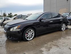 Salvage cars for sale at Lawrenceburg, KY auction: 2011 Nissan Maxima S