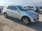 2009 Mercedes-Benz ML 350