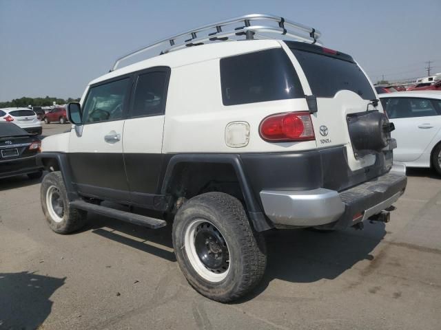 2010 Toyota FJ Cruiser