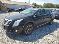 Cadillac xts Luxury Collection salvage cars for sale: 2013 Cadillac XTS Luxury Collection