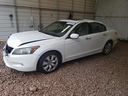 Salvage cars for sale at China Grove, NC auction: 2009 Honda Accord EXL