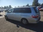 2005 Honda Odyssey EXL