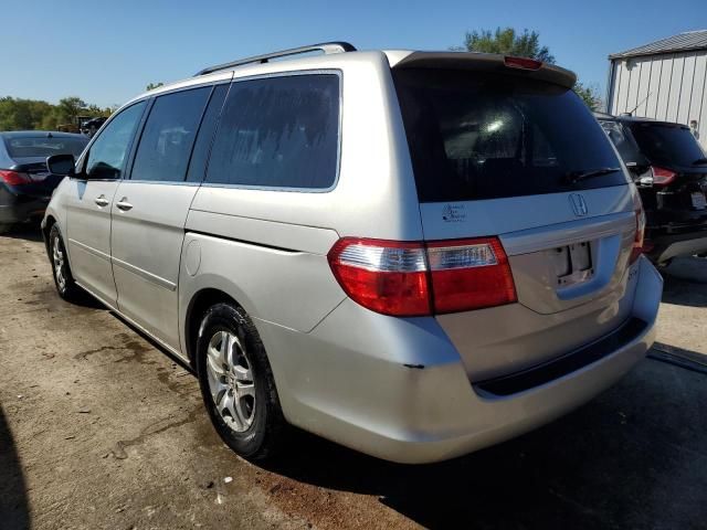 2005 Honda Odyssey EXL