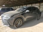 2022 Lexus NX 350