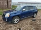 2010 GMC Terrain SLE