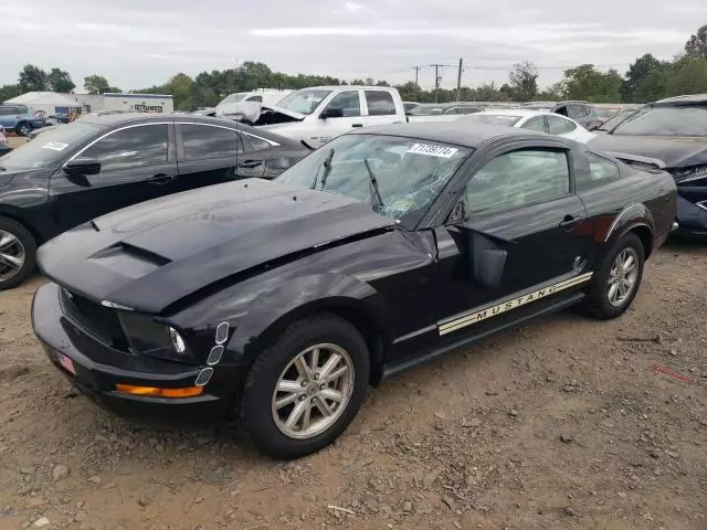 2005 Ford Mustang