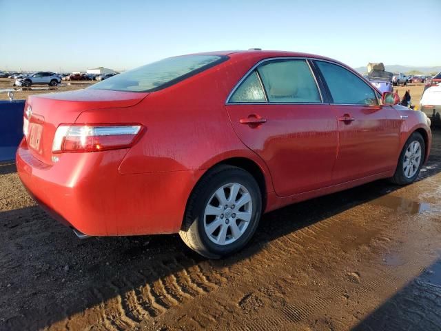 2008 Toyota Camry Hybrid