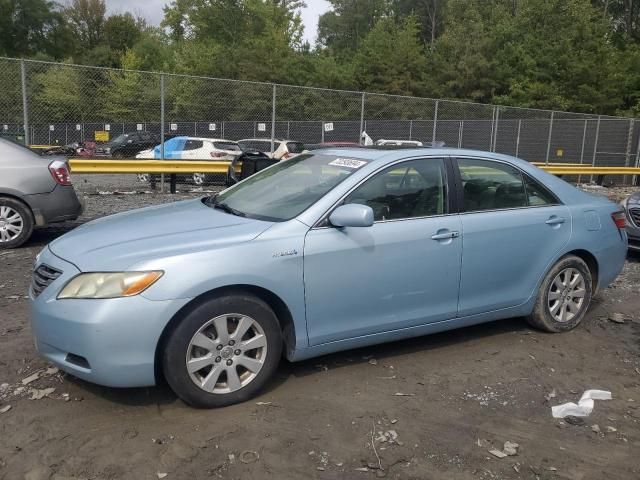 2009 Toyota Camry Hybrid