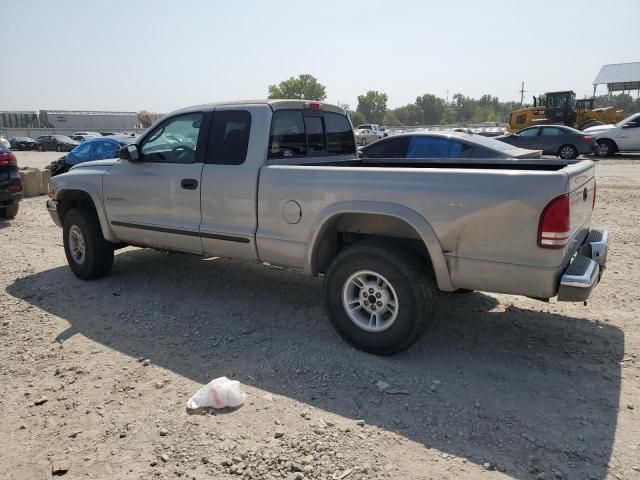 2000 Dodge Dakota