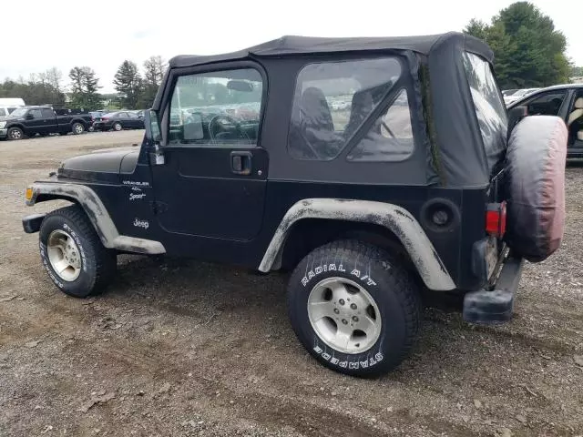 2001 Jeep Wrangler / TJ Sport