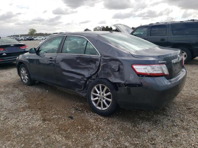 2010 Toyota Camry Hybrid