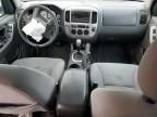 2005 Ford Escape XLT