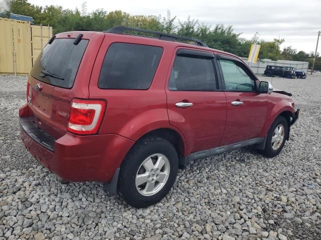 2012 Ford Escape XLT