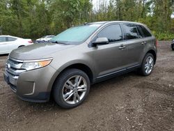 2013 Ford Edge SEL en venta en Cookstown, ON