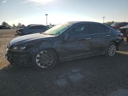 Salvage cars for sale at Indianapolis, IN auction: 2014 Honda Accord EXL