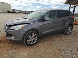 Ford Escape salvage cars for sale: 2013 Ford Escape SEL