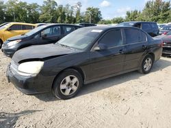 Salvage cars for sale at Baltimore, MD auction: 2004 Chevrolet Malibu LS