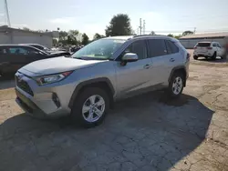 Salvage cars for sale at Lexington, KY auction: 2019 Toyota Rav4 XLE