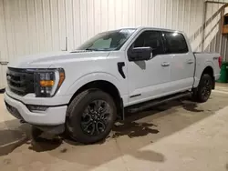 Salvage cars for sale from Copart Rocky View County, AB: 2023 Ford F150 Supercrew