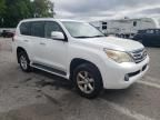 2010 Lexus GX 460