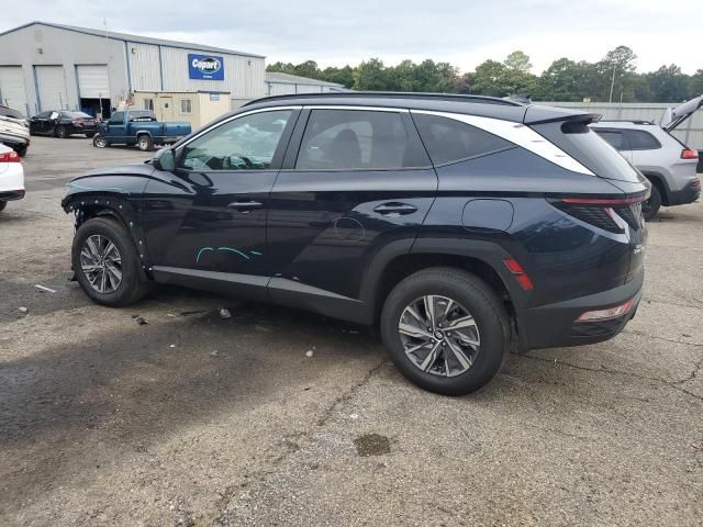 2023 Hyundai Tucson Blue