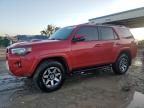 2023 Toyota 4runner SE