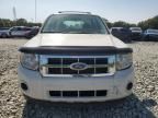 2010 Ford Escape XLS