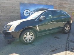 Salvage cars for sale at Blaine, MN auction: 2011 Cadillac SRX Luxury Collection