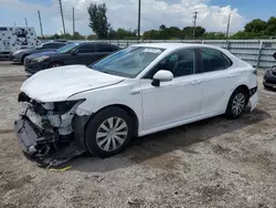 Salvage cars for sale at Miami, FL auction: 2020 Toyota Camry LE