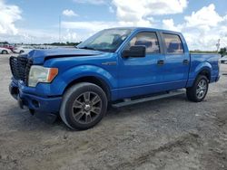 Salvage cars for sale at West Palm Beach, FL auction: 2014 Ford F150 Supercrew