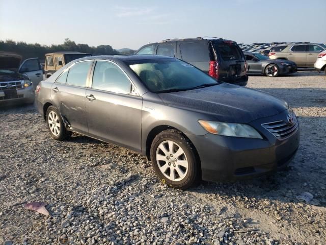 2008 Toyota Camry Hybrid