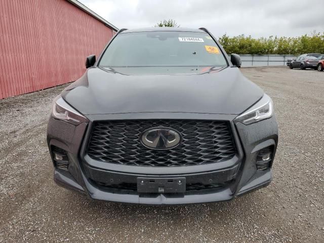 2024 Infiniti QX50 Sport