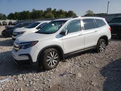 2020 Honda Pilot EXL en venta en Lawrenceburg, KY