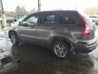 2010 Honda CR-V EXL