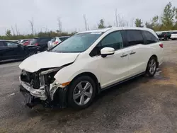 2019 Honda Odyssey EXL en venta en Angola, NY