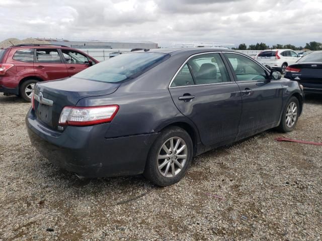 2010 Toyota Camry Hybrid